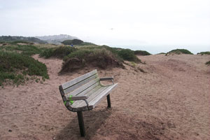 BEGINNING OF IMAGE DESCRIPTION.  IMAGE IS A PHOTOGRAPH OF A MODERN BENCH WITH A SINGLE METAL LEG AT EACH END.  THE BENCH FACES OUT ONTO THE SANDY GROUND OF THE SUNSET TRAIL, AND HAS A BEAUTIFUL VIEW OUT TO SEE FROM UP ON THE BLUFFS.  END OF IMAGE DESCRIPTION.